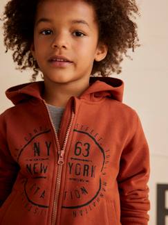Niño-Jerséis, chaquetas de punto, sudaderas-Sudadera con cremallera, capucha y motivo gráfico para niño