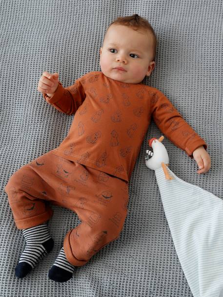 Pantalón de felpa para recién nacido AZUL OSCURO LISO+GRIS CLARO JASPEADO+NARANJA OSCURO ESTAMPADO 