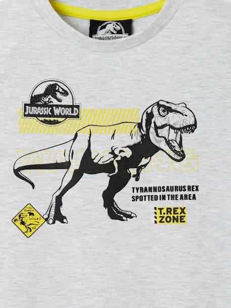Camiseta Jurassic World® GRIS MEDIO LISO CON MOTIVOS 