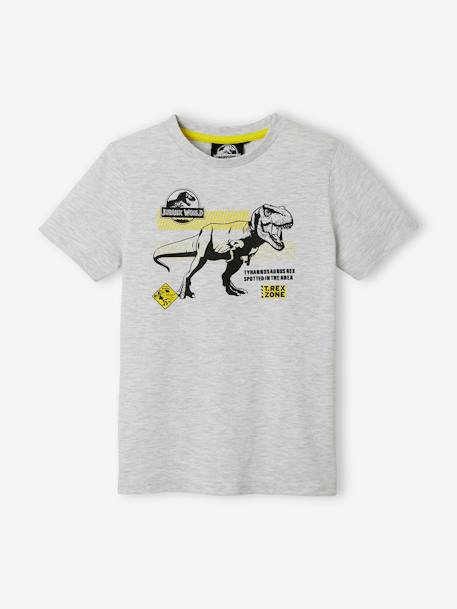Camiseta Jurassic World® GRIS MEDIO LISO CON MOTIVOS 