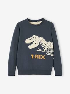 Niño-Jerséis, chaquetas de punto, sudaderas-Jerséis de punto-Jersey jacquard con dinosaurio, para niño