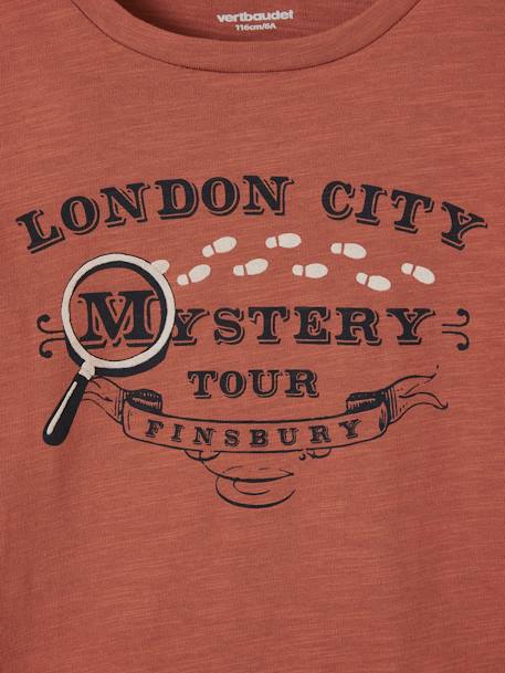 Camiseta 'Mystery' con flocado de terciopelo, niño MARRON MEDIO LISO CON MOTIVOS 