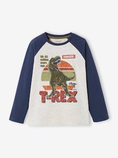 camisetas-Niño-Camisetas y polos-Camiseta con motivo gráfico y mangas raglán a color, para niño