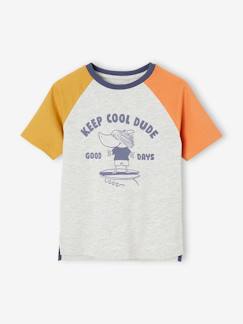 camisetas-Niño-Camiseta colorblock con motivo de tiburón para niño
