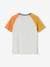 Camiseta colorblock con motivo de tiburón para niño gris jaspeado 