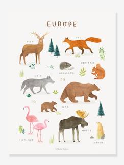 Textil Hogar y Decoración-Decoración-Cuadros, pósters y paneles-Lámina Animales de Europa Lilydale LILIPINSO