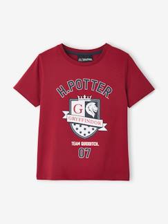 Niño-Camisetas y polos-Camiseta de Harry Potter® para niño
