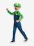 Disfraz «Luigi» Fancy Dress - DISGUISE verde 