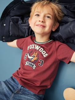 Niño-Camisetas y polos-Camiseta con motivo de zorro divertido para niño