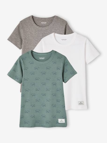 Pack de 3 camisetas de punto de canalé de manga corta «Oso» para niño verde esmeralda 