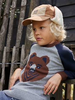 Niño-Jerséis, chaquetas de punto, sudaderas-Jersey de jacquard oso con mangas raglán para niño
