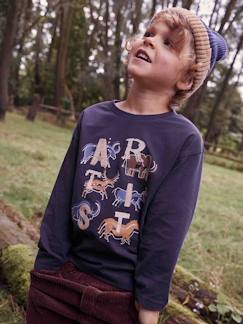 Niño-Camiseta motivo de la prehistoria con detalles bordados para niño