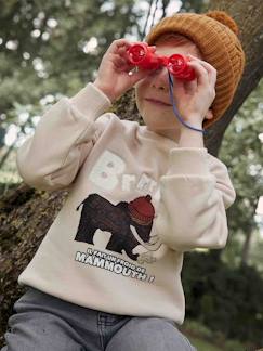 Niño-Jerséis, chaquetas de punto, sudaderas-Sudaderas-Sudadera con motivo de mamut y detalles de felpa de rizo para niño