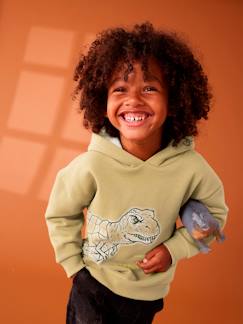 Niño-Jerséis, chaquetas de punto, sudaderas-Sudadera con motivo dinosaurio y capucha con forro sherpa para niño