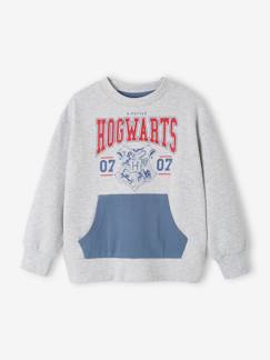 Niño-Jerséis, chaquetas de punto, sudaderas-Sudadera de Harry Potter® para niño