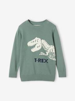 Ecorresponsables-Niño-Jerséis, chaquetas de punto, sudaderas-Jersey divertido dinosaurio niño