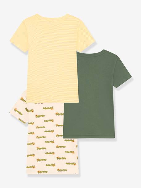 Pack de 3 camisetas de manga corta PETIT BATEAU verde 