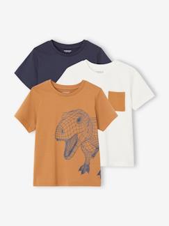 Ecorresponsables-Niño-Camisetas y polos-Camisetas-Pack de 3 camisetas surtidas de manga corta, para niño