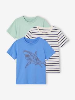 Lotes y packs-Niño-Camisetas y polos-Camisetas-Pack de 3 camisetas surtidas de manga corta, para niño