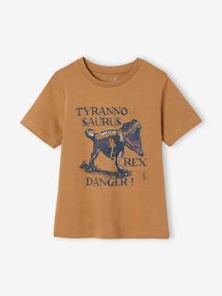 camisetas-Niño-Camisetas y polos-Camisetas-Camiseta con motivo dinosaurio, para niño