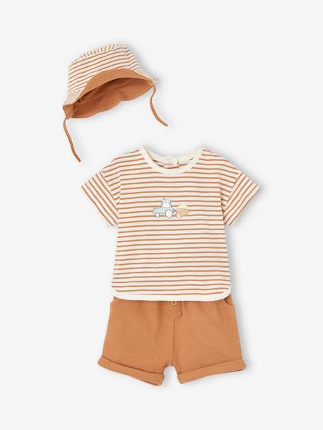 Bebé-Conjunto de 3 peças para recém-nascido: t-shirt, calções e chapéu a condizer