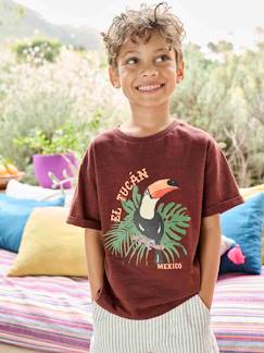 Niño-Camisetas y polos-Camisetas-Camiseta con motivo tucán para niño