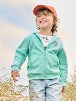 Niño-Jerséis, chaquetas de punto, sudaderas-Sudaderas-Sudadera con cremallera y capucha para niño - Basics